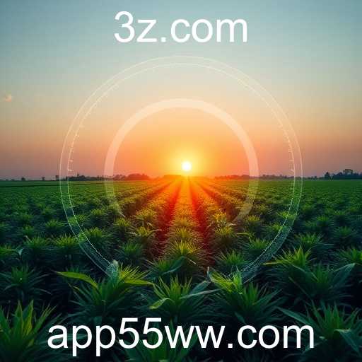 Avanços e Desafios: O Papel de 55ww no Mercado Digital